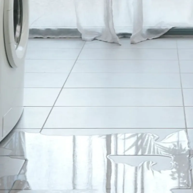 Appliance Leak Cleanup in Marquette County, MI