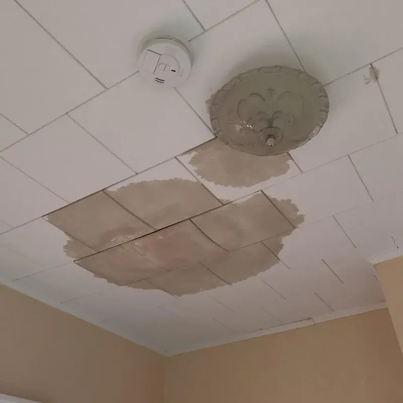 Ceiling Water Damage Repair in Marquette County, MI