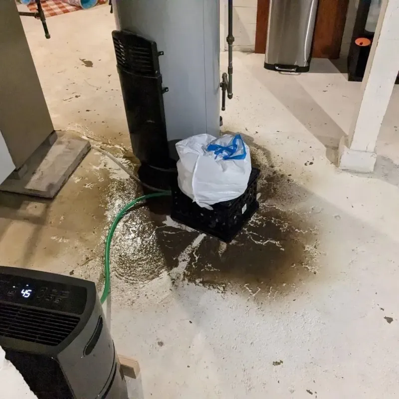 Sewage Backup Cleanup Service in Marquette County, MI